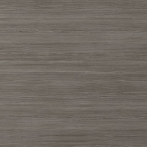 Grey Elm