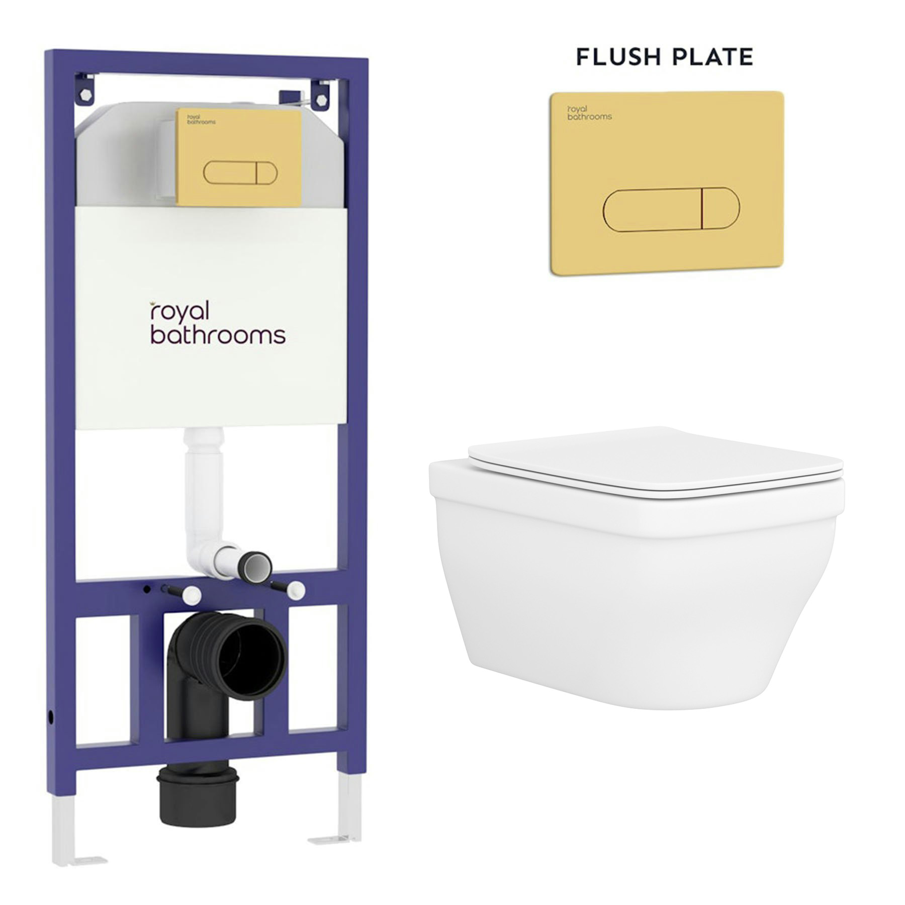 Evora Wall Hung Rimless Toilet with Slim Soft Close Seat & Aqua Brushed Brass Plate Wall Hung Frame