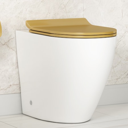 Comfort Height Back to Wall Rimless Toilet with Slim Soft Close Brushed Brass Seat - Abacus