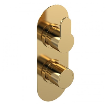 Modern Round Brushed Brass Twin Thermostatic Shower Valve