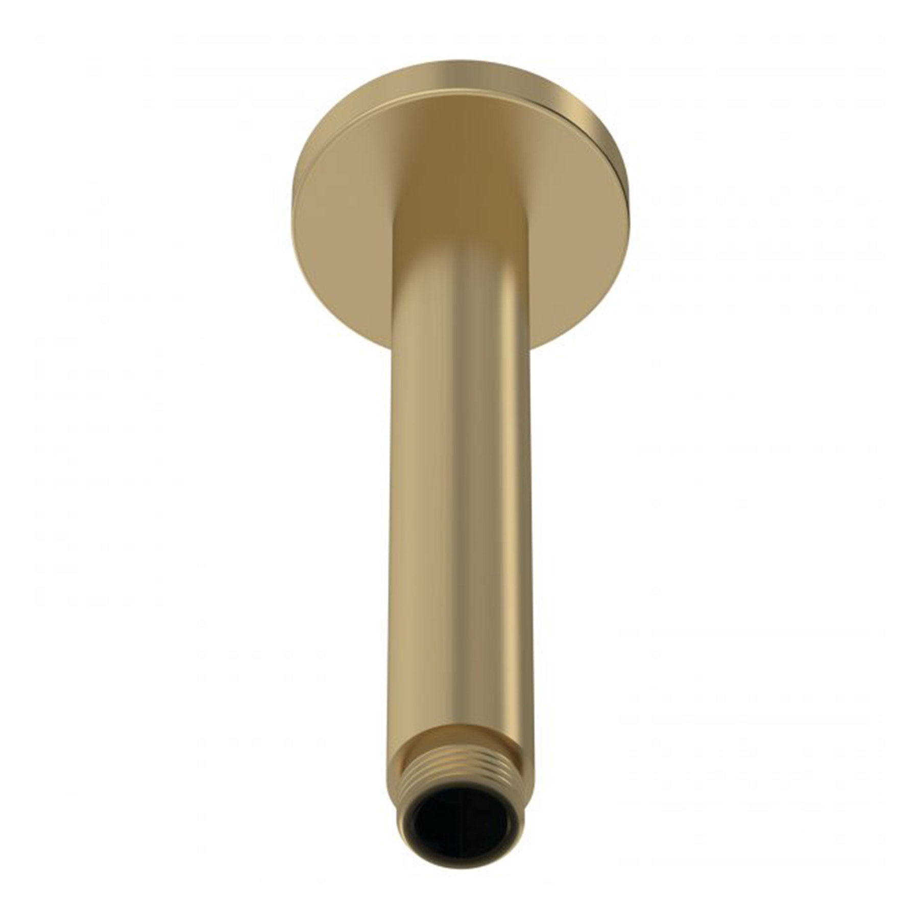 Windon 200mm Round Brushed Brass Fixed Shower Head with Ceiling Mounted Shower Arm