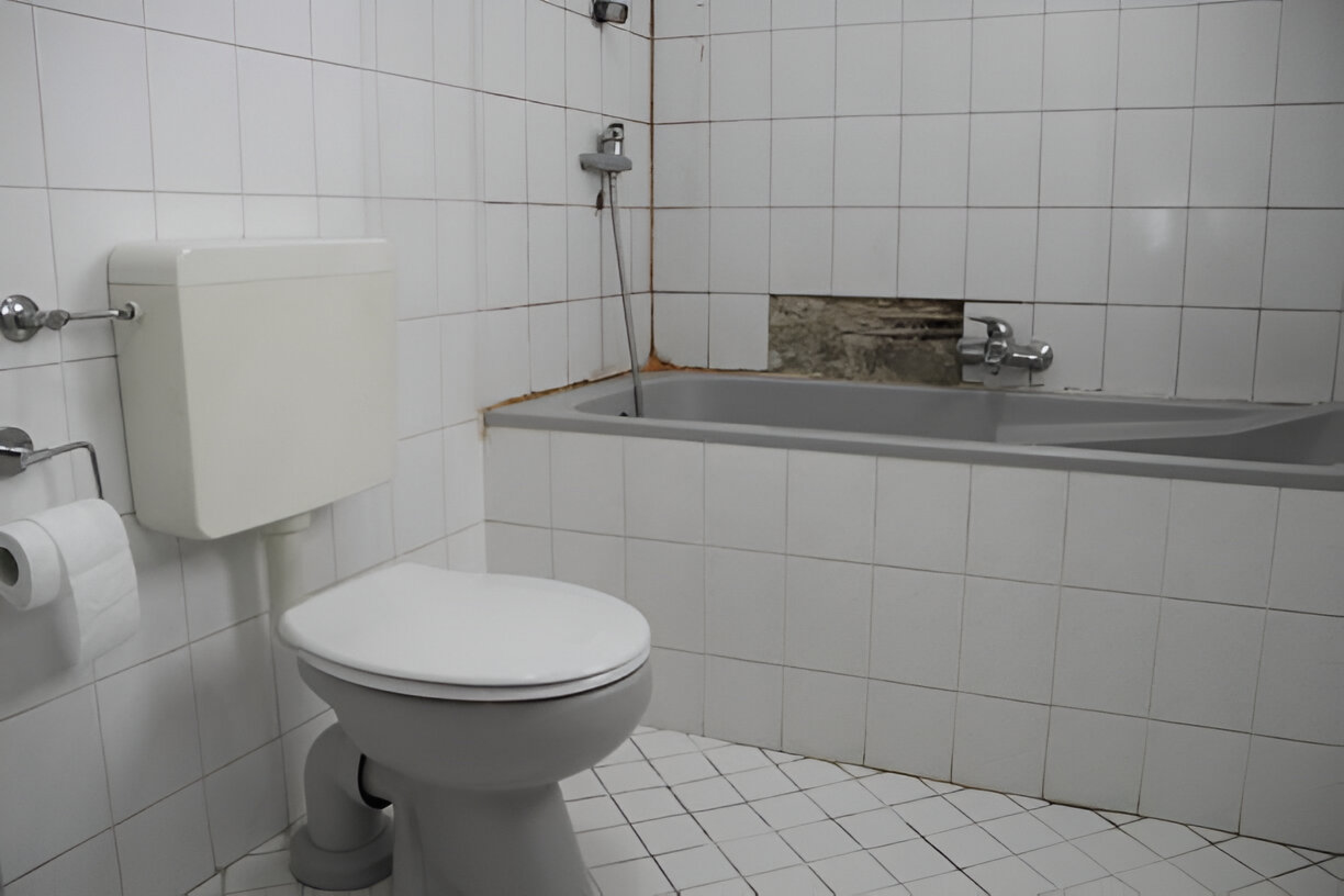 Toilet Mould
