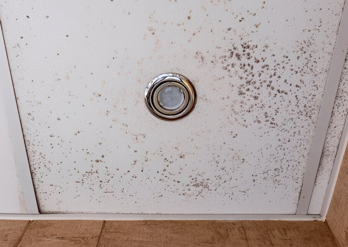 Bathroom Condensation