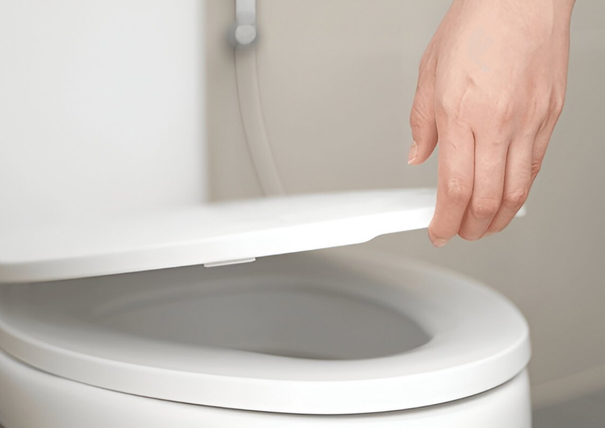 Toilet Seat